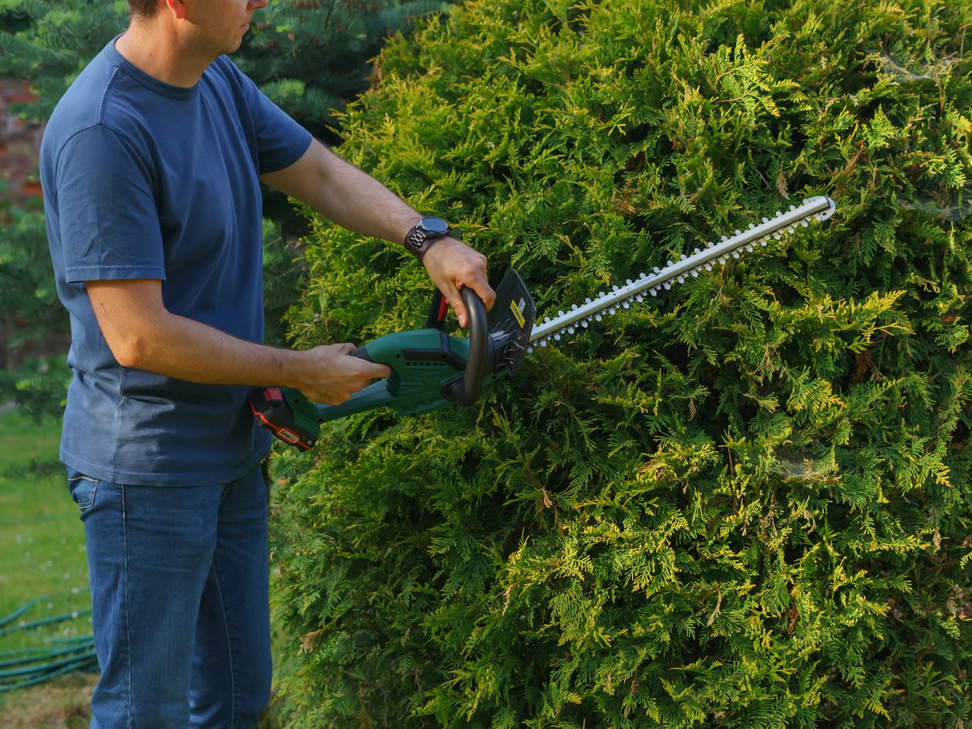 Boxwood hedges shaped flat along a residential walkway.