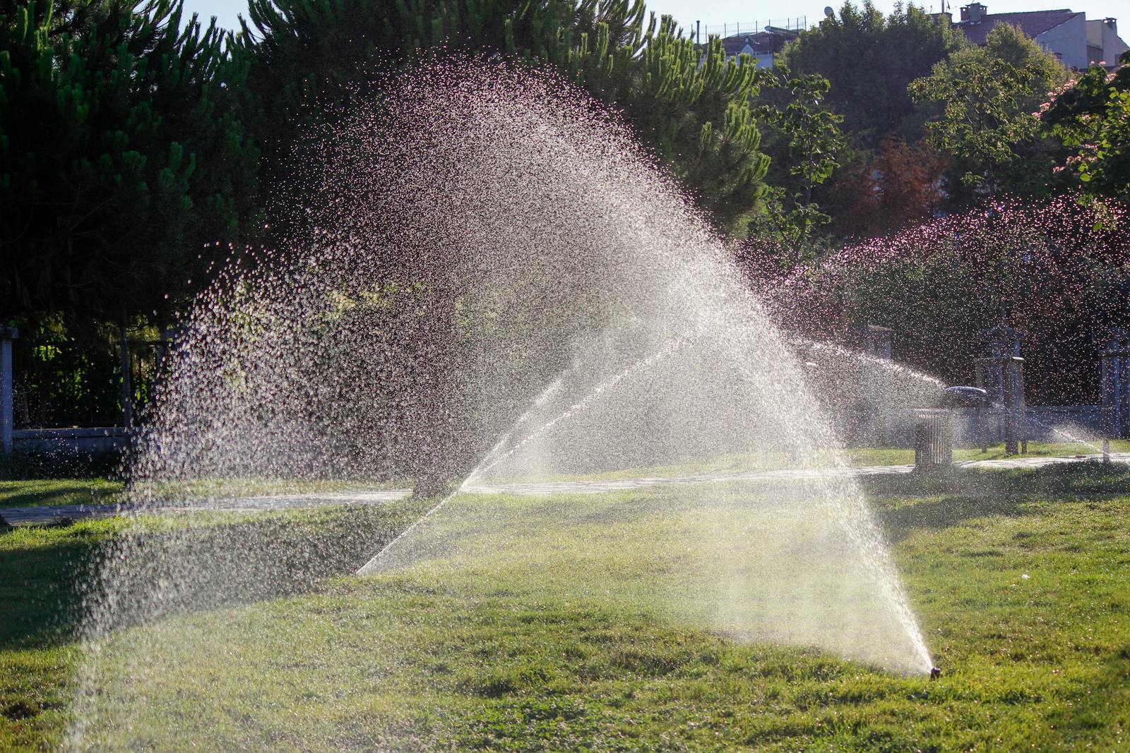 In-ground irrigation system spraying overlapping arcs on a residential lawn.